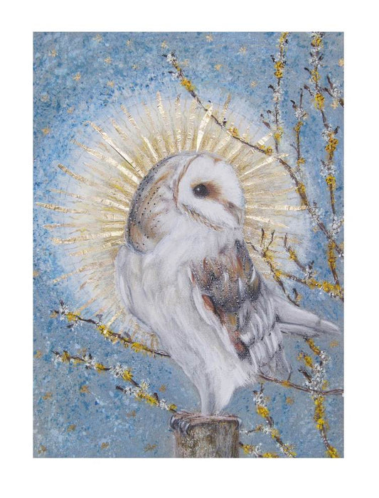 Barn Owl - Print