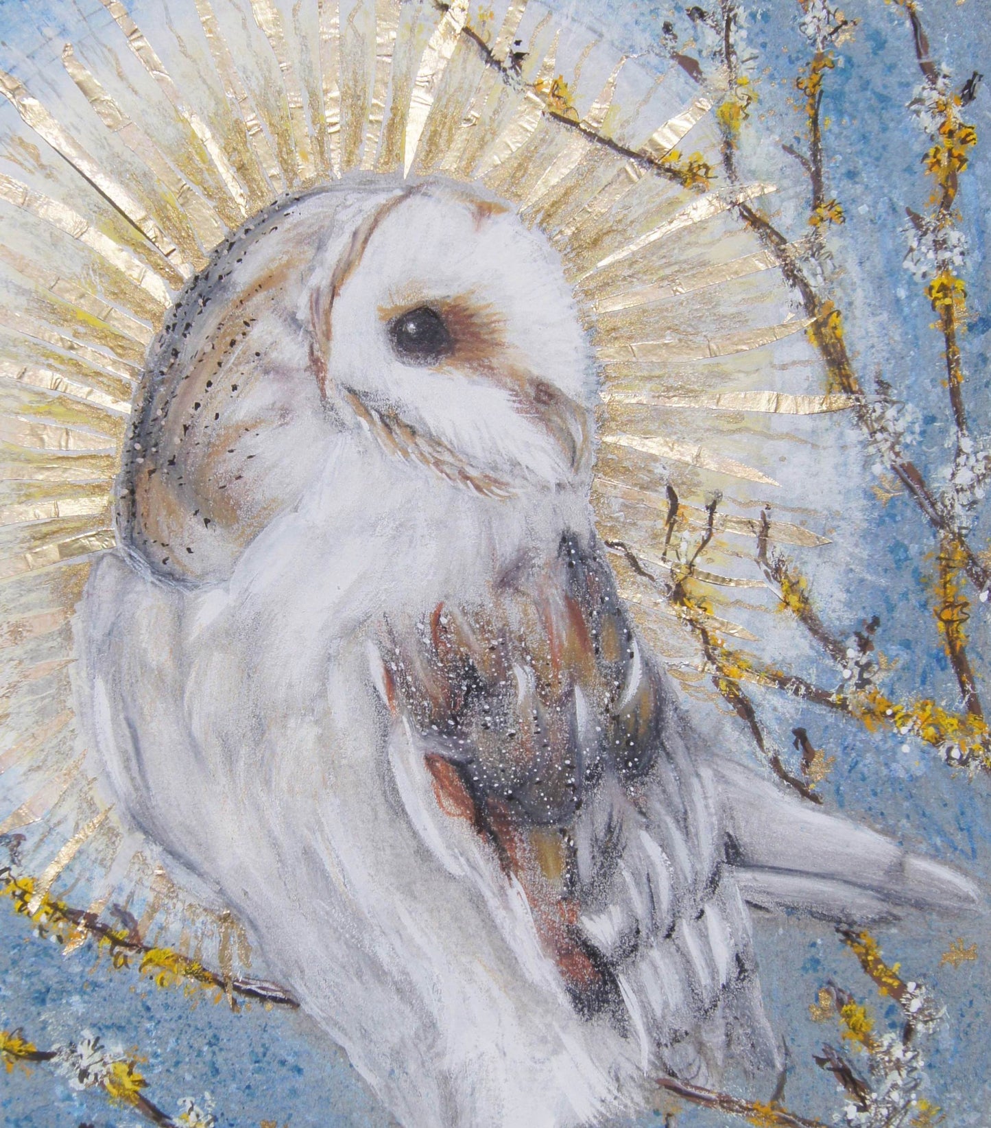 Barn Owl - Print