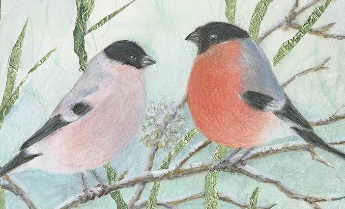 Bullfinches - Print