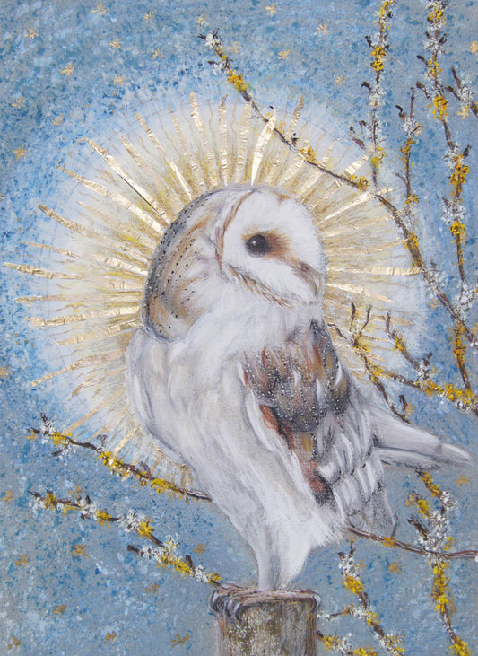 Barn Owl - Print