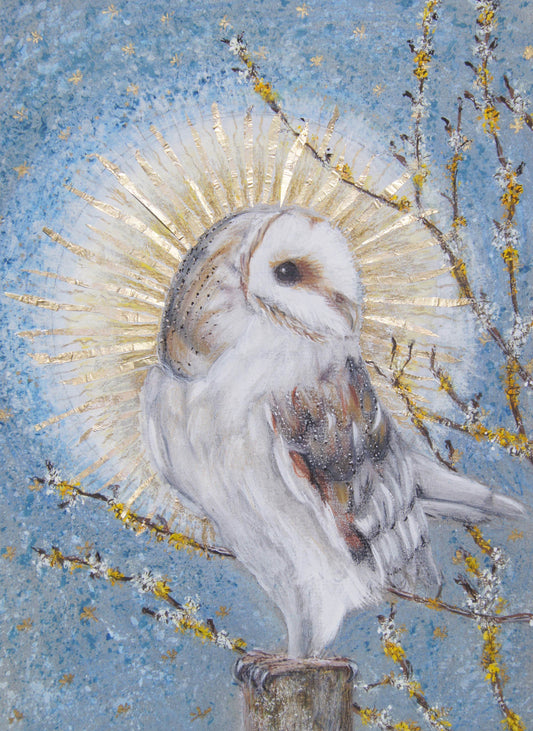 Barn Owl - original illustration