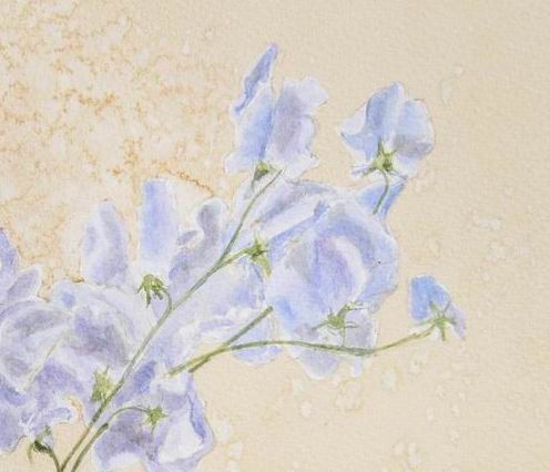 Sweet Peas - original painting